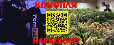 трава Камышлов