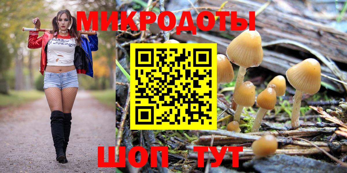 Псилоцибиновые грибы GOLDEN TEACHER Глазов