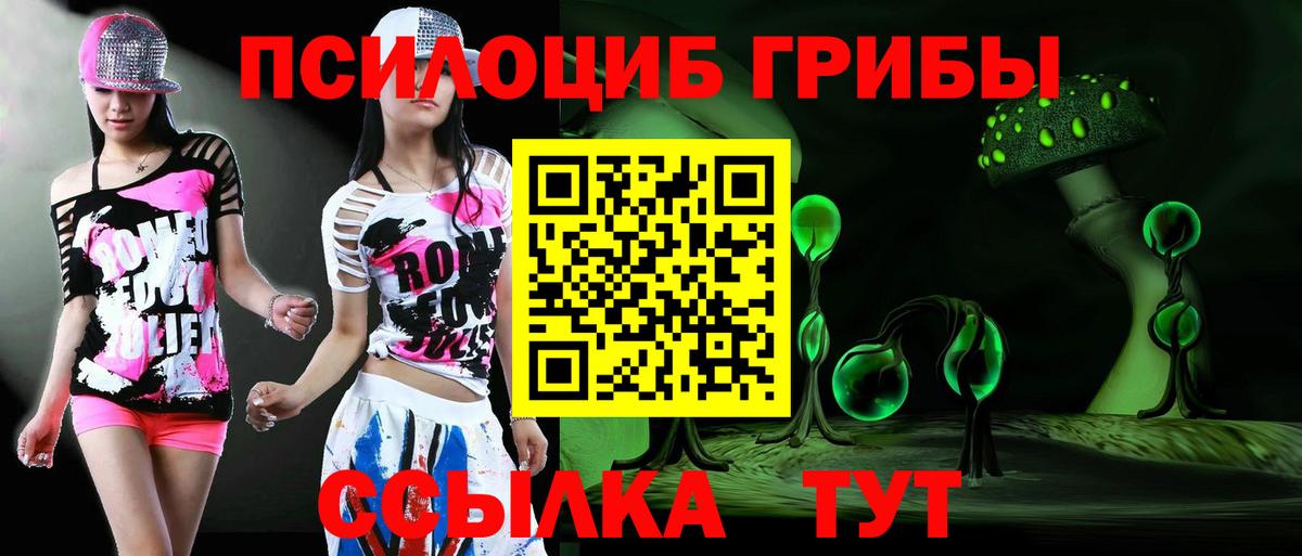 Галлюциногенные грибы Cubensis Глазов