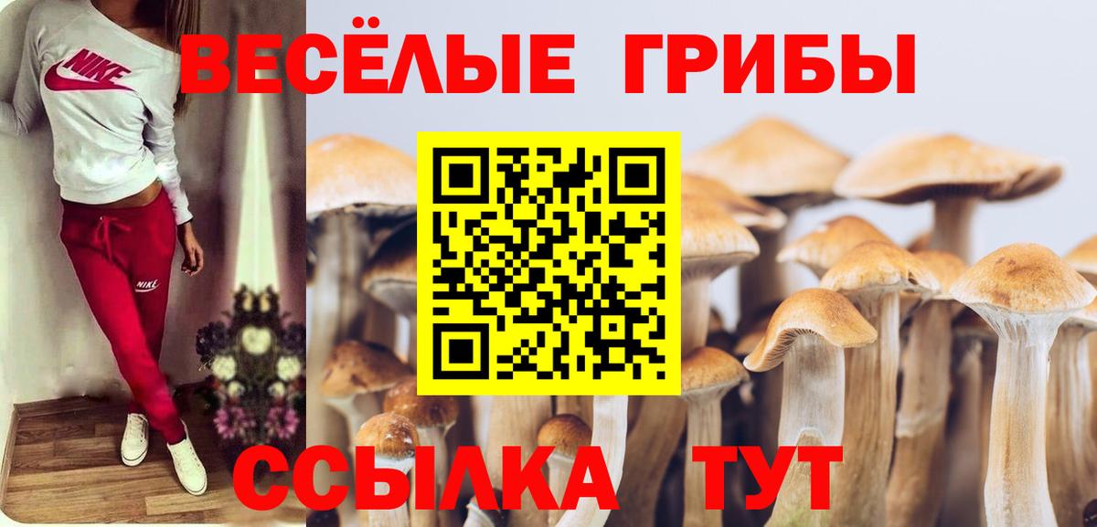 Галлюциногенные грибы мухоморы  Псилоцибиновые грибы мухоморы  Глазов  Вход с VPN 